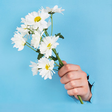 une main avec un bouquet de marguerites