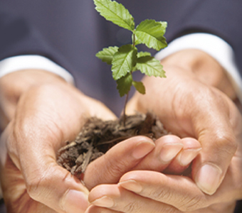 Mains jointe qui porte de la terre avec une plante qui y pousse.
