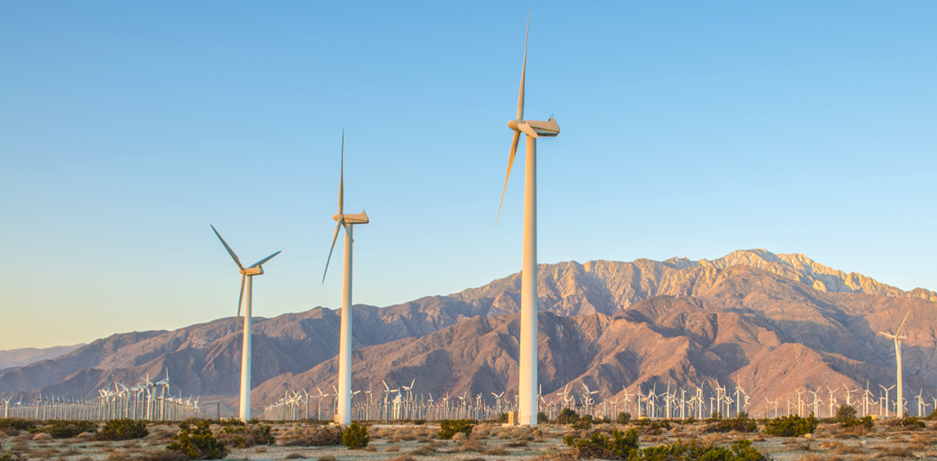 éoliennes dans le désert algérien